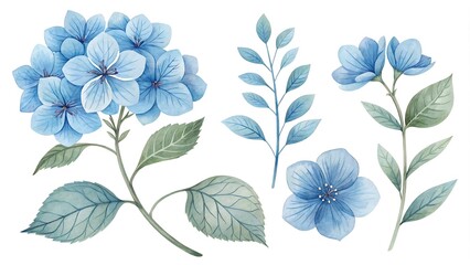 Obraz premium Watercolor blue Flower and leaf