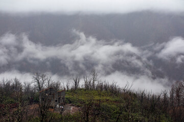 A quaint house atop a hill, surrounded by lush trees and clouds