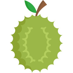 Durian Fruits Vector