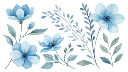 Fototapeta premium Watercolor blue Flower and leaf