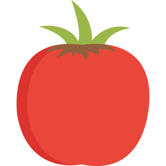 Tomato Fruits Vector