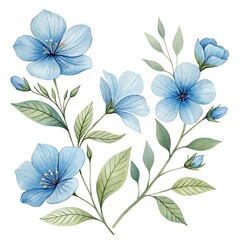 Watercolor blue Flower and leaf