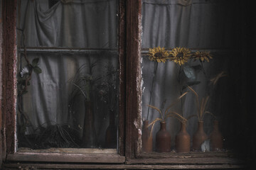 Blumen auf der Fensterbank