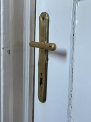 Brass door handle