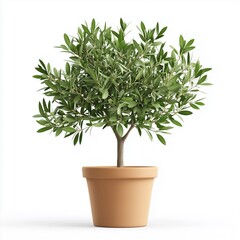 Obraz premium A small, lush green tree in a terracotta pot, showcasing vibrant leaves and a sturdy trunk, ideal for indoor or outdoor decor.