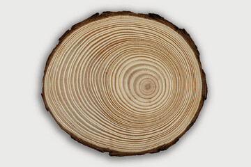 Natural decorative wood log texture, captured from a top-down view against a white background