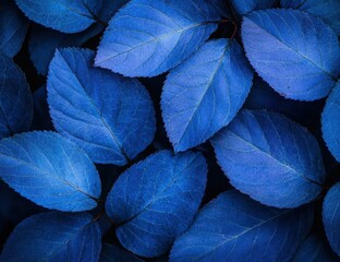 vibrant blue leaves in nature