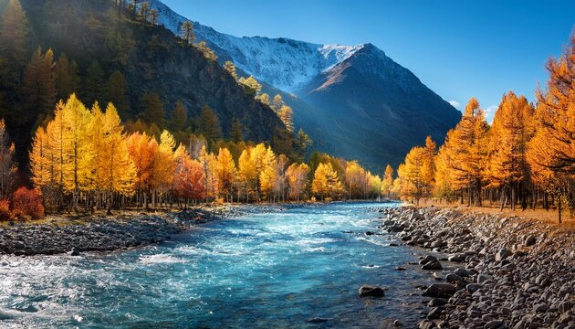 a beautiful autumn mountain landscape with sunlit poplars and a blue river autumn landscape with trees in autumn colors and river autumn forest with fallen leaves altai mountains russia