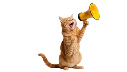 Cat with Megaphone: A funny and cute ginger cat with a big, expressive face holds a yellow megaphone, ready to make an announcement.