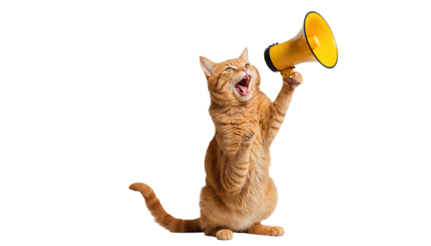 Cat with Megaphone: A funny and cute ginger cat with a big, expressive face holds a yellow megaphone, ready to make an announcement.