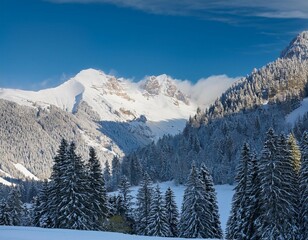 Fototapeta premium winterwonderland in the alps