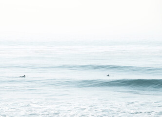 Sharing waves