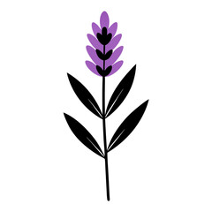 Lavender Flower with Leaf Beautiful Floral Design for Print