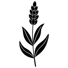 Lavender Flower with Leaf Beautiful Floral Design for Print