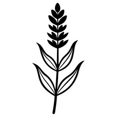 Lavender Flower with Leaf Beautiful Floral Design for Print