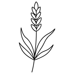 Lavender Flower with Leaf Beautiful Floral Design for Print