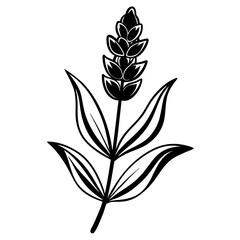 Lavender Flower with Leaf Beautiful Floral Design for Print