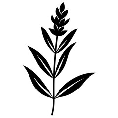 Lavender Flower with Leaf Beautiful Floral Design for Print