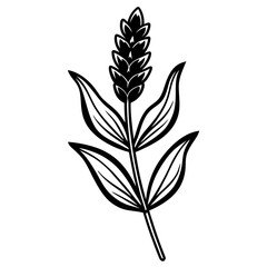 Lavender Flower with Leaf Beautiful Floral Design for Print