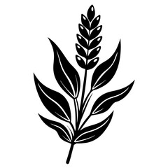 Lavender Flower with Leaf Beautiful Floral Design for Print