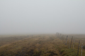 A mysterious Icelandic field enveloped in thick fog, creating a calm and otherworldly atmosphere