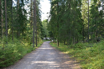 Nuuksio National Park
