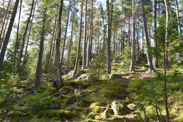 Nuuksio National Park