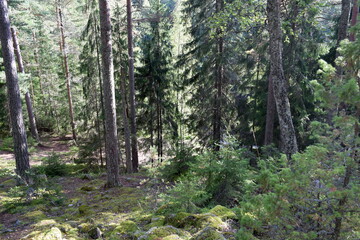 Nuuksio National Park