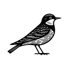 Fototapeta premium Simple Vector Icon of a Black-breasted Puffleg – Logo Design Illustration