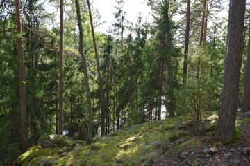 Nuuksio National Park