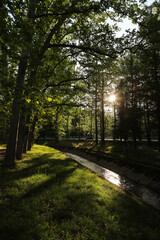 Obraz premium the park in Tskaltubo