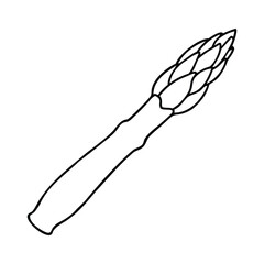 Minimalist black and white line drawing of a single asparagus spear