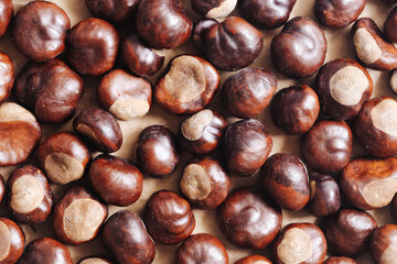 Chestnut texture on a brown background. Shiny autumn chestnuts symbolizing fall. Warm seasonal backdrop. Natural harvest decoration. Forest inspired autumn theme.