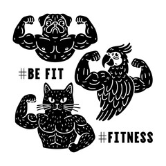 cat, dog and a parrot showing muscles, fitness animals set, funny workout illustration collection