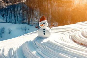 Fototapeta premium Cute snowman photo on the snow. Winter and snowman