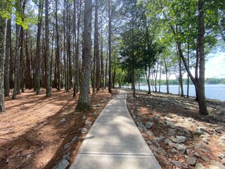 Scenic view of the forest on a summer day in Peachtree City, Georgia, United States