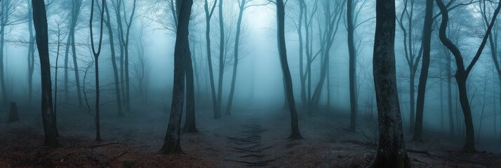 Obraz premium A forest with foggy trees and a path. Scene is mysterious and eerie