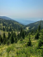 Scenic View from the Chair Lift for mountain biking at Whitefish Mountain Resort in Whitefish, Montana, United States