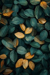 Close-up of leaves with dark green and yellow tones
