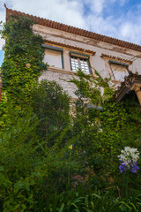 Fototapeta premium A traditional Portuguese house covered in lush greenery, creating a picturesque and romantic scene