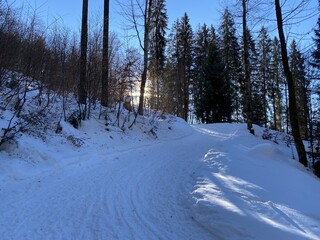 Winter snow idyll along the rural alpine road above the Lake Walen or Lake Walenstadt (Walensee) and in the Swiss Alps, Walenstadtberg - Canton of St. Gallen, Switzerland (Schweiz)