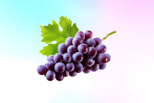 Bunch of grapes