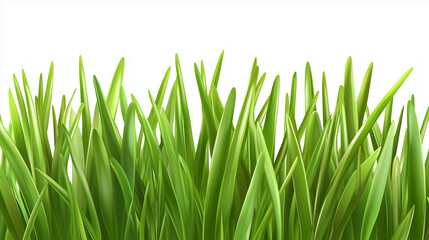 Obraz premium fresh spring green grass