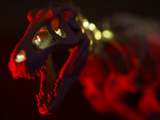 tyrannosaurus rex schädel skull © Peter