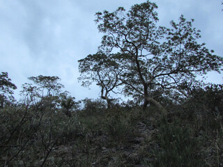 A beautiful view of Serra do Cipó from the top of the mountains