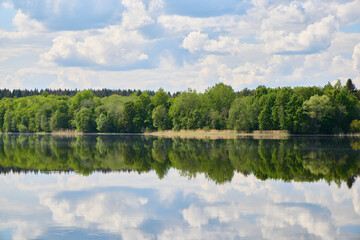 Fototapeta premium Peaceful reflections of a summer lake surrounded by lush greenery and natures wonders