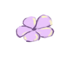 Purple flower