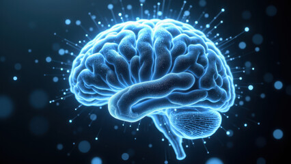 Obraz premium An artistic rendering of a human brain with glowing blue neural pathways, symbolizing intelligence or artificial general intelligence (AGI).