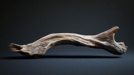 Fototapeta premium Weathered Driftwood Arch, Dark Background - Minimalist Design Element