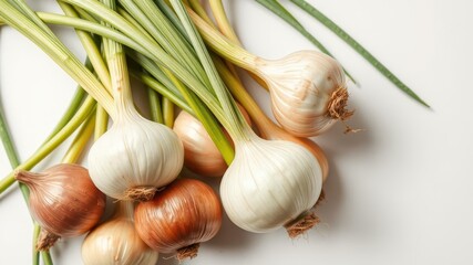 Fresh bulbs of onion arranged neatly on a clean white background, with green stems and papery skins, white background, agriculture